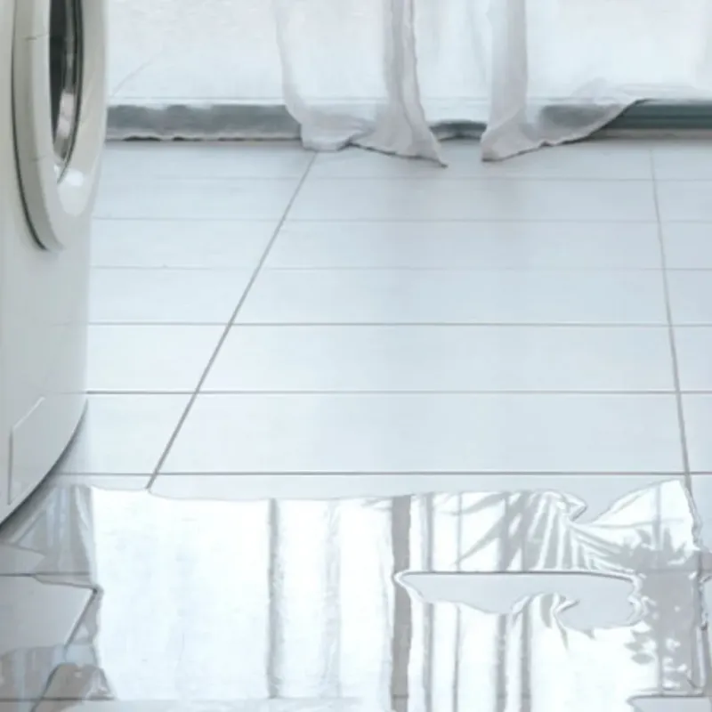 Appliance Leak Cleanup in Eleanor, WV