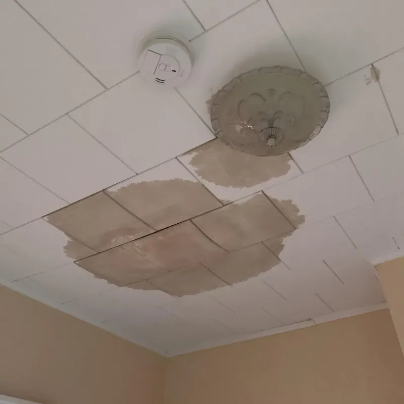 Ceiling Water Damage Repair in Eleanor, WV