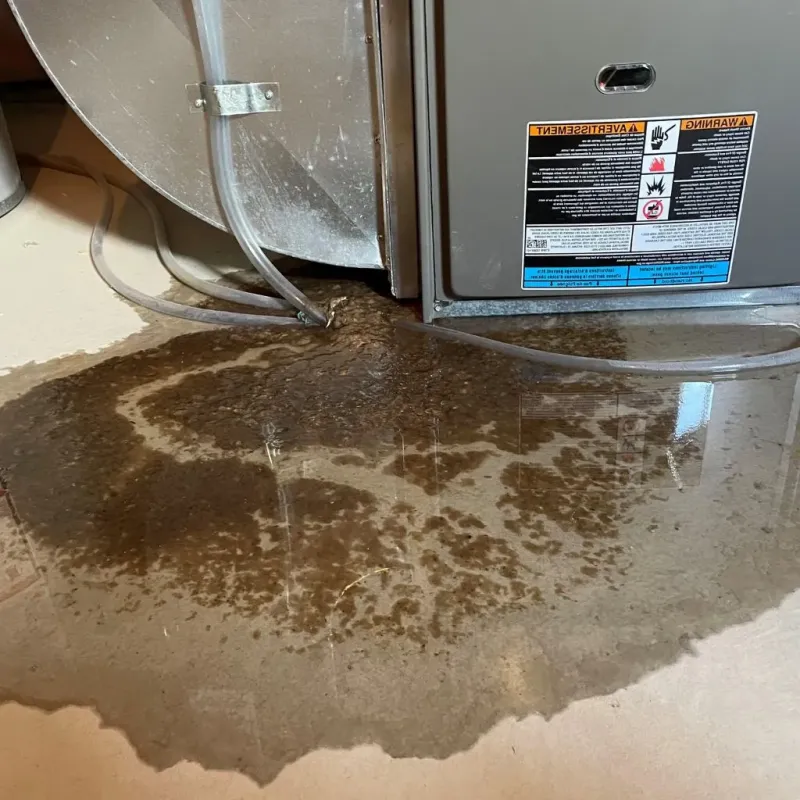Pipe Burst and Leak Restoration in Eleanor, WV