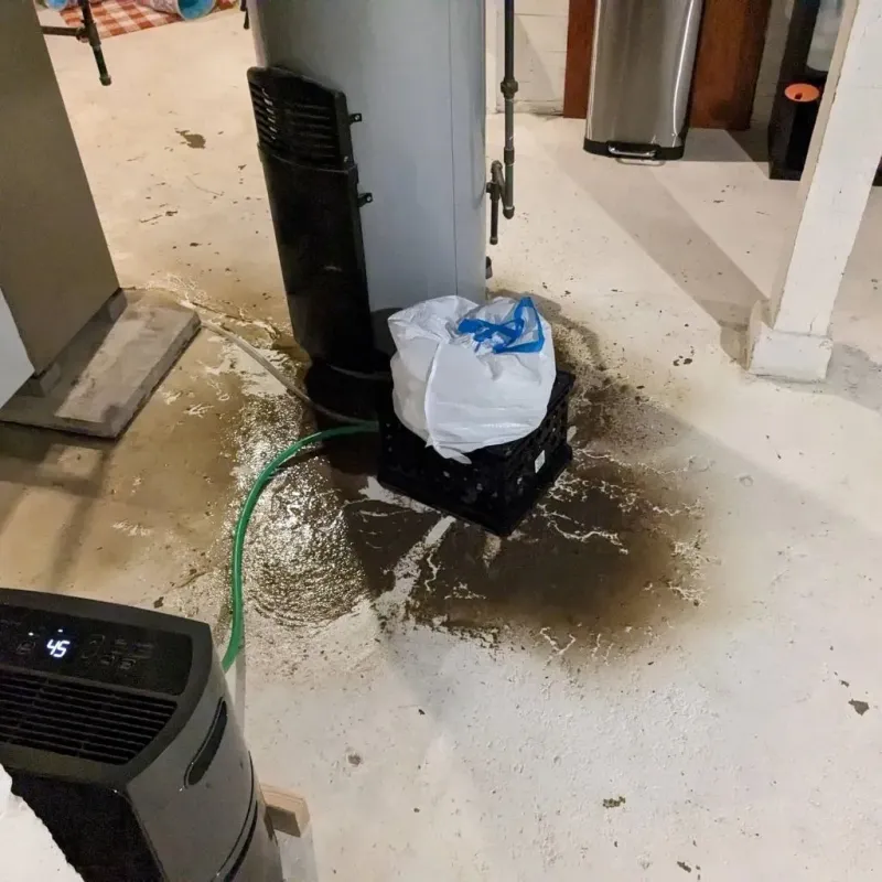 Sewage Backup Cleanup Service in Eleanor, WV
